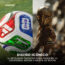 ⚽Super Combo balón + copa mundial Estados Unidos 2026